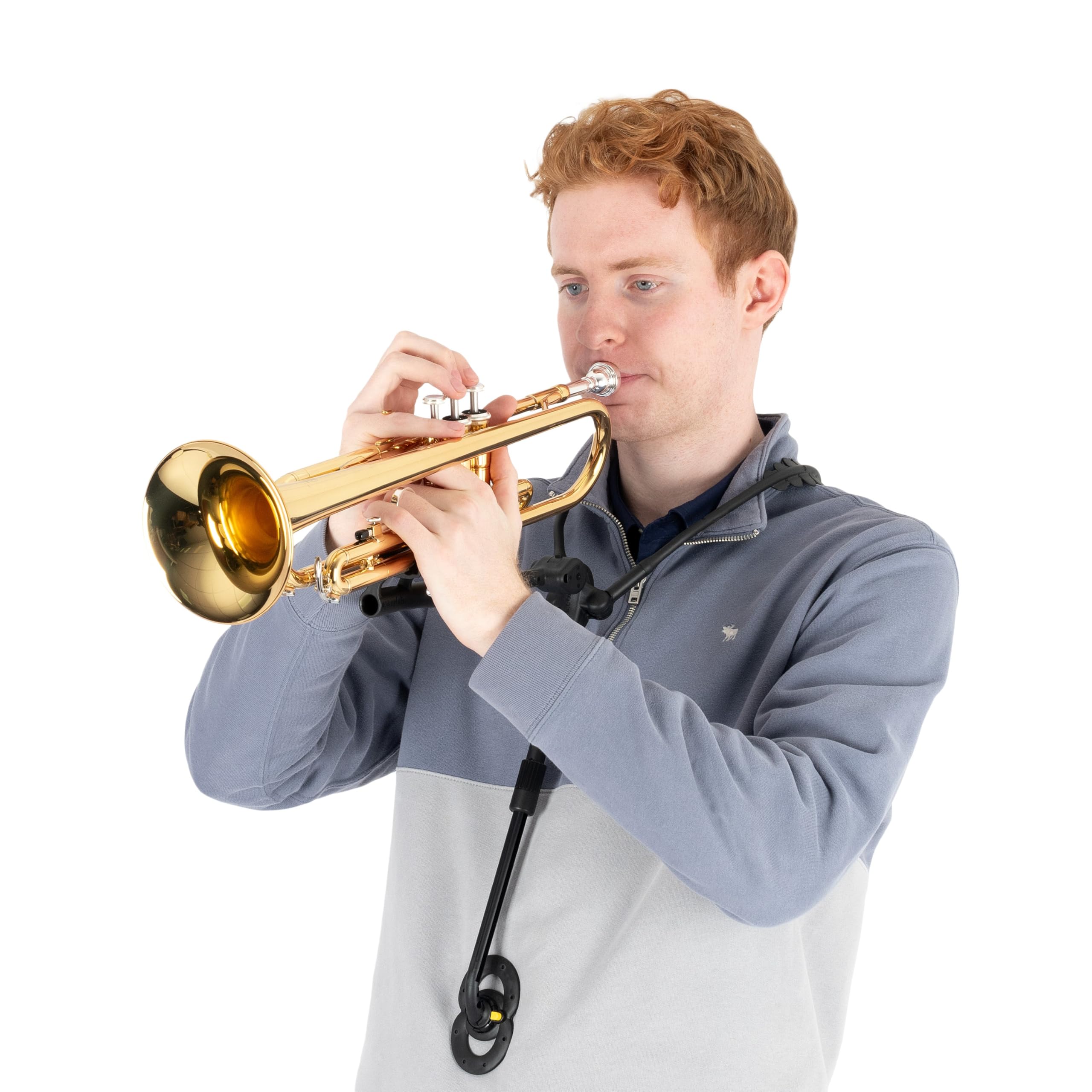 Amazon | JazzLab トランペットホルダー Mサイズ - ブラック